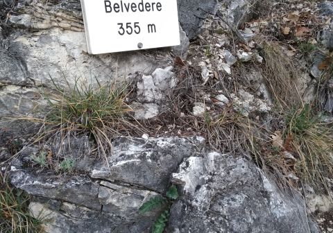 Ferrata Rio Secco - Cadino - foto 8