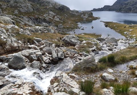 Giro dei 5 laghi di Valgoglio - foto 21