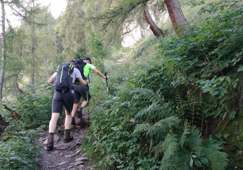 Giro dei 5 laghi di Valgoglio - foto 4