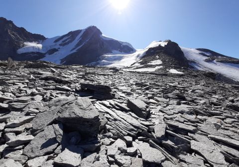 Gran Paradiso - foto 12