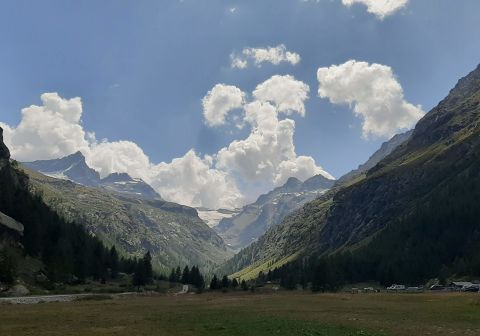 Gran Paradiso - foto 17