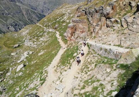 Gran Paradiso - foto 34