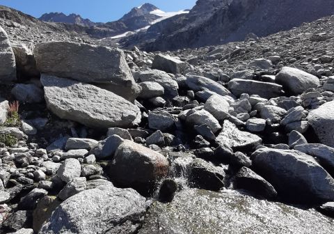 Gran Paradiso - foto 11
