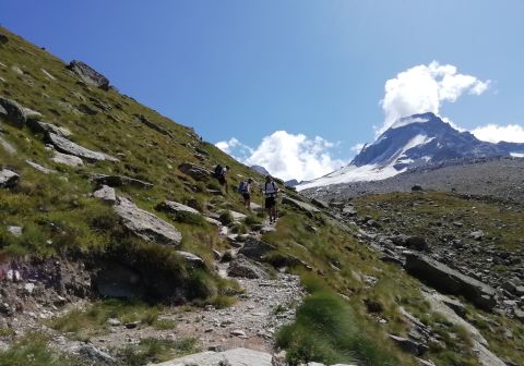 Gran Paradiso - foto 32