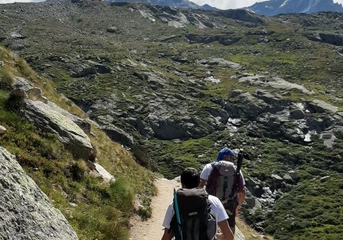 Gran Paradiso - foto 24