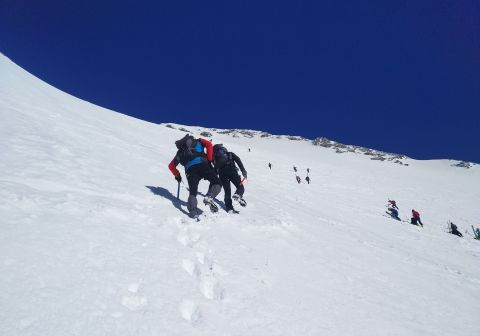 Gran Zebrù - foto 16