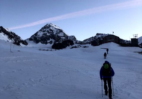 Gran Zebrù - foto 4