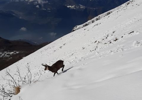 Grigna Meridionale - foto 23