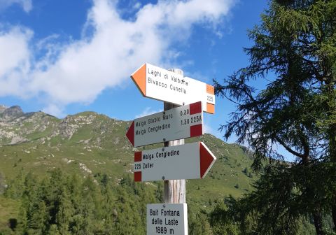 Laghi di Valbona e cresta del Monte Cengledino - foto 6