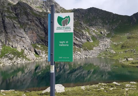 Laghi di Valbona e cresta del Monte Cengledino - foto 10
