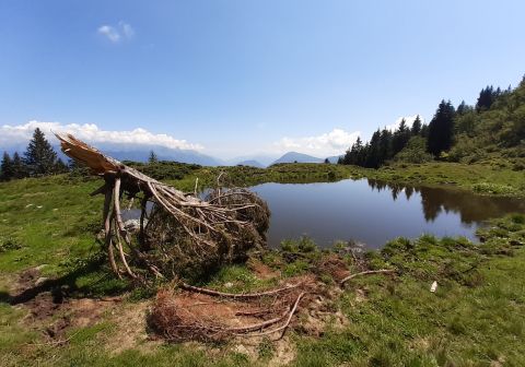 Laghi di Valbona e cresta del Monte Cengledino - foto 20