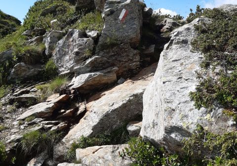 Laghi di Valbona e cresta del Monte Cengledino - foto 13