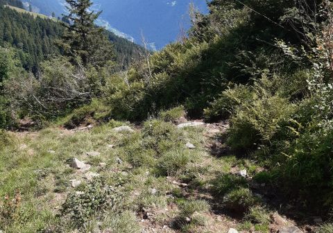 Laghi di Valbona e cresta del Monte Cengledino - foto 19