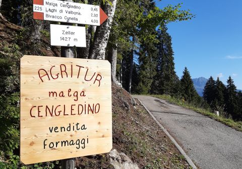 Laghi di Valbona e cresta del Monte Cengledino - foto 2