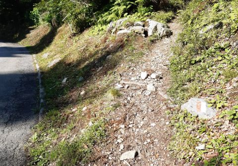 Laghi di Valbona e cresta del Monte Cengledino - foto 3