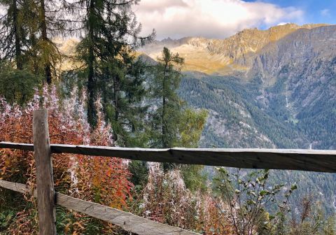 Laghi di San Giuliano - foto 9