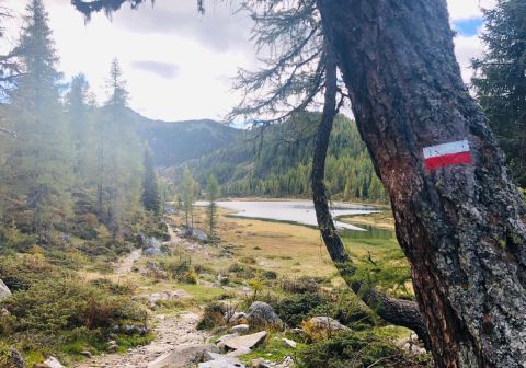 Laghi di San Giuliano - foto 11