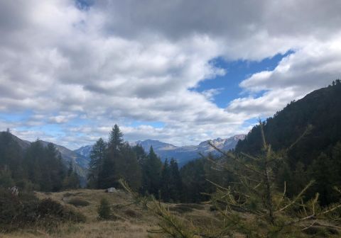 Laghi di San Giuliano - foto 2