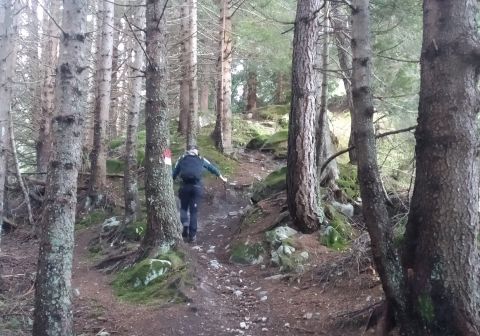 Lago e vedretta del Pisgana - foto 1