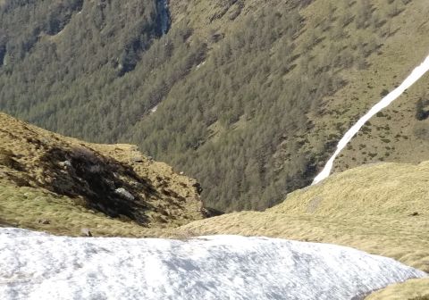 Lago Nero - Bivacco Linge - Rifugio Valmalza - foto 6