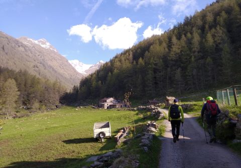 Lago Nero - Bivacco Linge - Rifugio Valmalza - foto 3