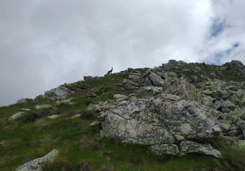 Monte Aga dal Rifugio Longo - foto 19