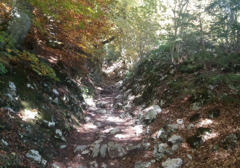 Monte Altissimo di Nago da San Giacomo - foto 9