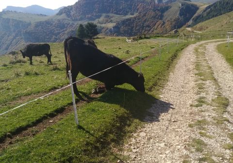 Monte Altissimo di Nago da San Giacomo - foto 11