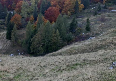 Monte Altissimo di Nago da San Giacomo - foto 6