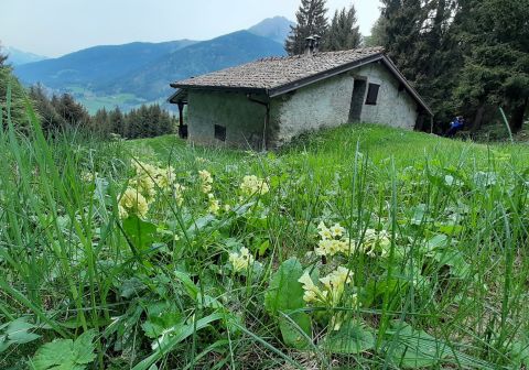 Monte Altissimo e Dosso di Campolungo - foto 5