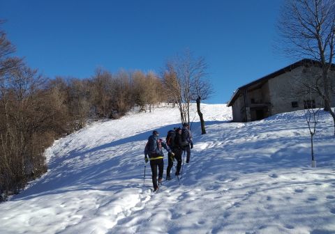Monte Ario - foto 3