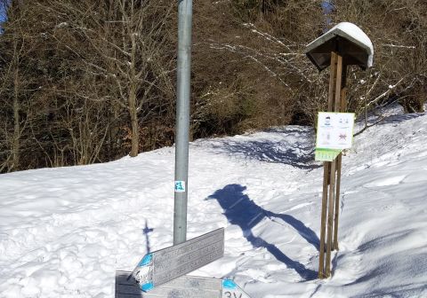 Monte Ario - foto 6