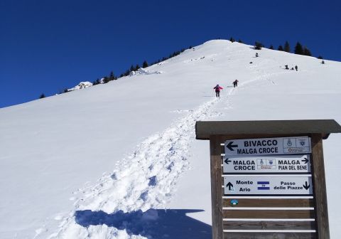 Monte Ario - foto 9