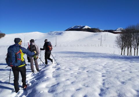 Monte Ario - foto 4