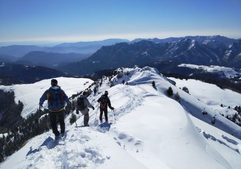 Monte Ario - foto 16