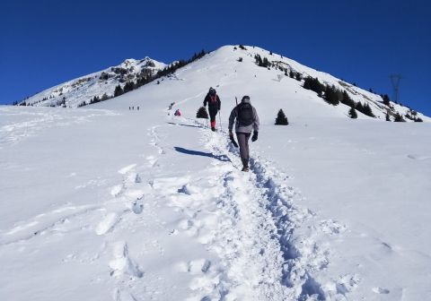 Monte Ario - foto 8
