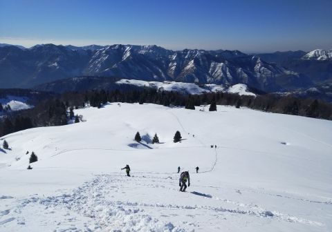 Monte Ario - foto 10