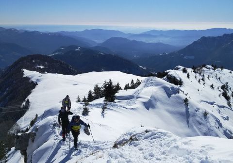 Monte Ario - foto 12