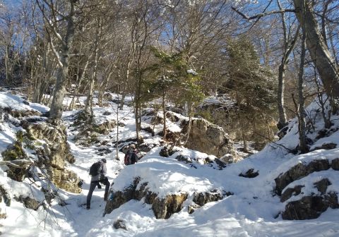 Monte Ario - foto 7