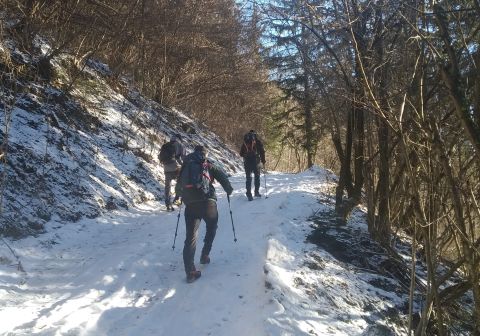 Monte Ario - foto 2