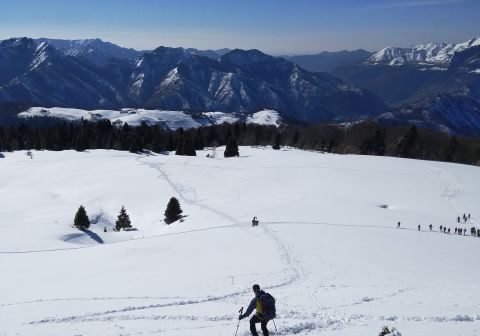 Monte Ario - foto 19