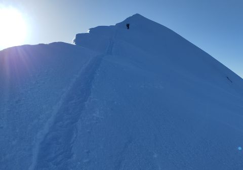 Monte Bianco - Via normale italiana dal Rifugio Gonella - foto 10