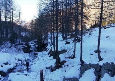 Monte Cabianca - Canale Nord invernale - foto 19