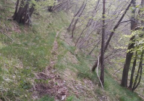 Monte Caplone - Sentiero del costone - foto 4
