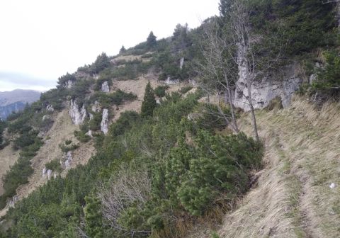 Monte Caplone - Sentiero del costone - foto 12