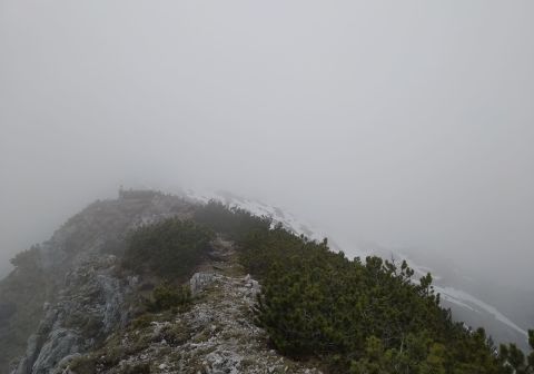 Monte Caplone - Sentiero del costone - foto 9