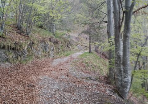 Monte Caplone - Sentiero del costone - foto 10