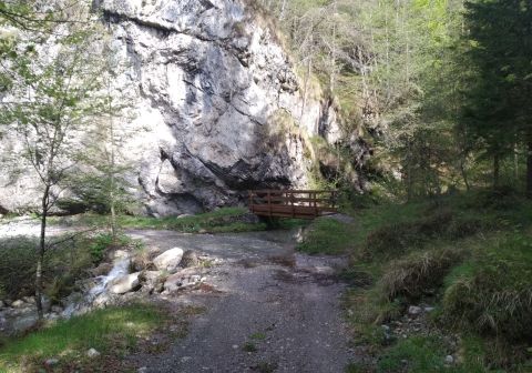 Monte Caplone - Sentiero del costone - foto 2