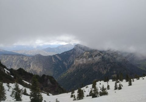 Monte Caplone - Sentiero del costone - foto 11