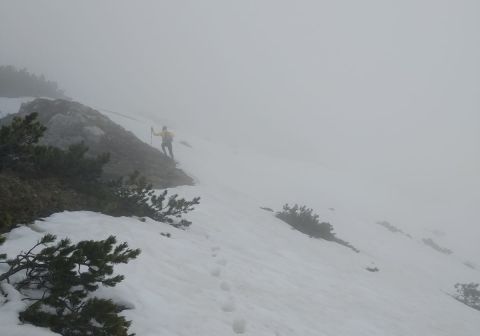 Monte Caplone - Sentiero del costone - foto 6